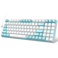 E-YOOSO Z-19 White Blue (Blue switch) RGB Gaming Keyboard
