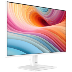 MSI PRO MP251L E2 24.5″ FHD 120Hz IPS Gaming & Professional Monitor