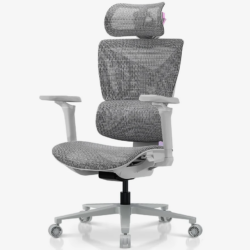 AndaSeat X-Air Pro Series Mesh Office Gaming Chair Twilight