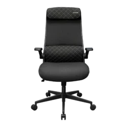 COUGAR Stryder Ergonomic Gaming Chair – Black – alternate view