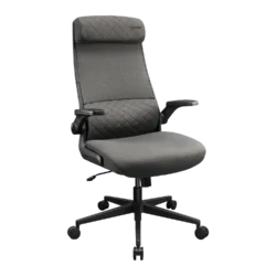 COUGAR Stryder Ergonomic Gaming Chair – Gray – product view